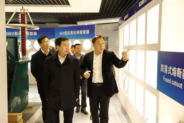 溫州市委常委、組織部長(zhǎng)馬永良蒞臨紅光電氣集團(tuán)調(diào)研指導(dǎo)